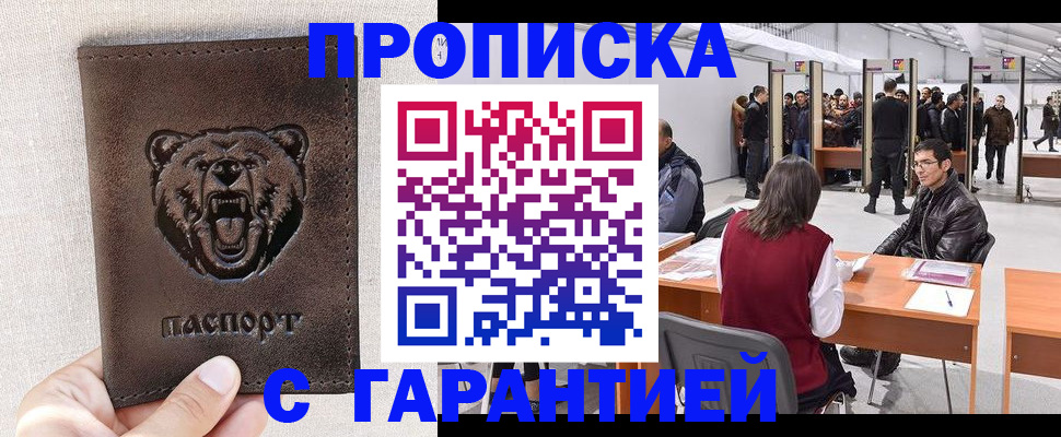 временная регистрация поиск в Мурманской области